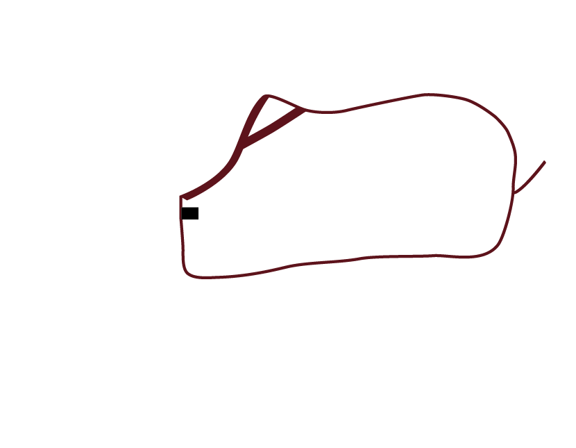 Visual Products Configurator option image