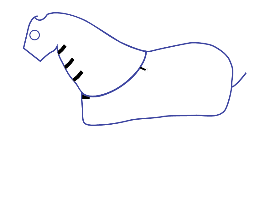 Visual Products Configurator option image