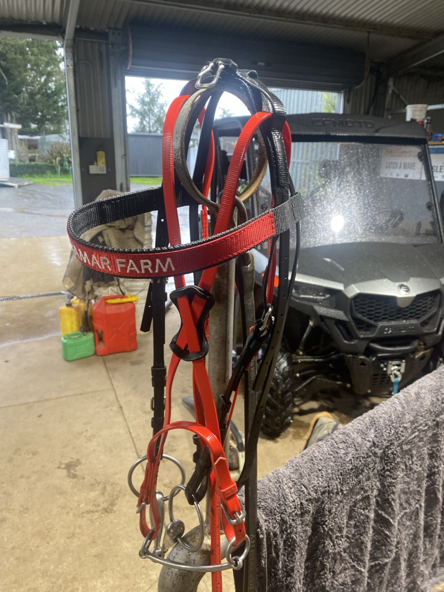 Design your own Racing Browband - Image 2