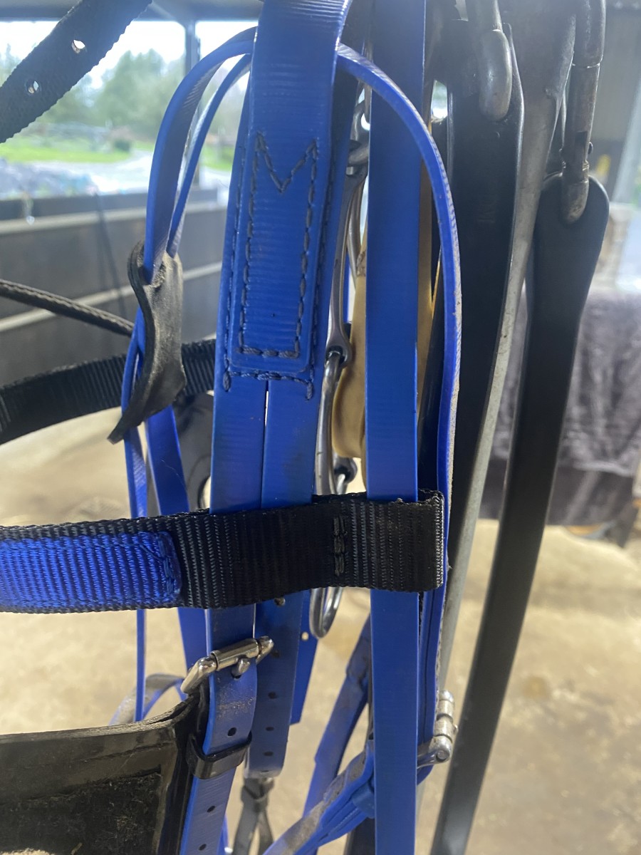 Design your own Racing Browband - Image 3