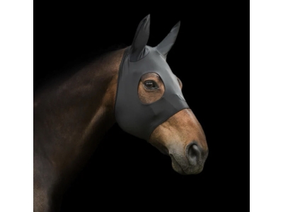 Back on Track Spirit Hood