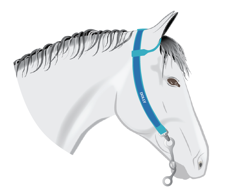 Visual Product Configurator preview image