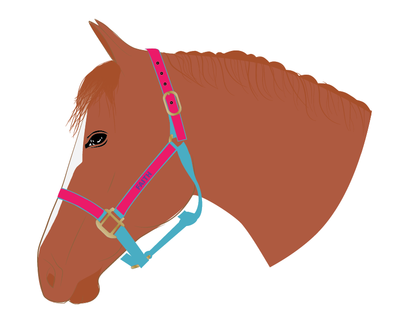 Visual Product Configurator preview image