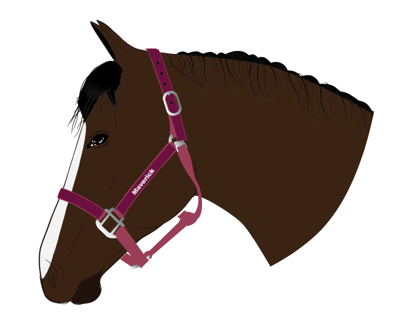 Visual Product Configurator preview image