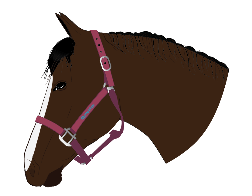 Visual Product Configurator preview image